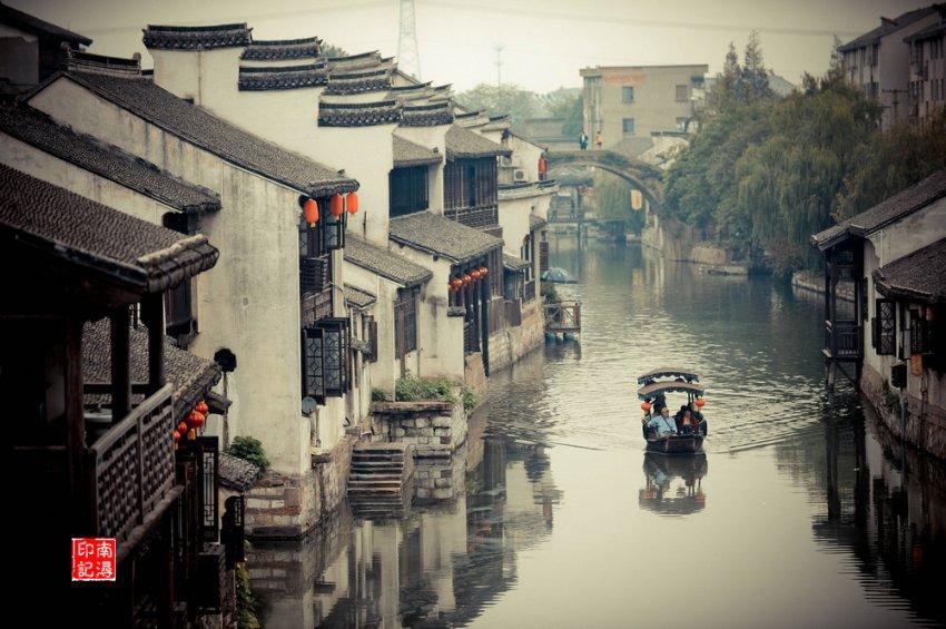 动物帮帮忙保卫家园